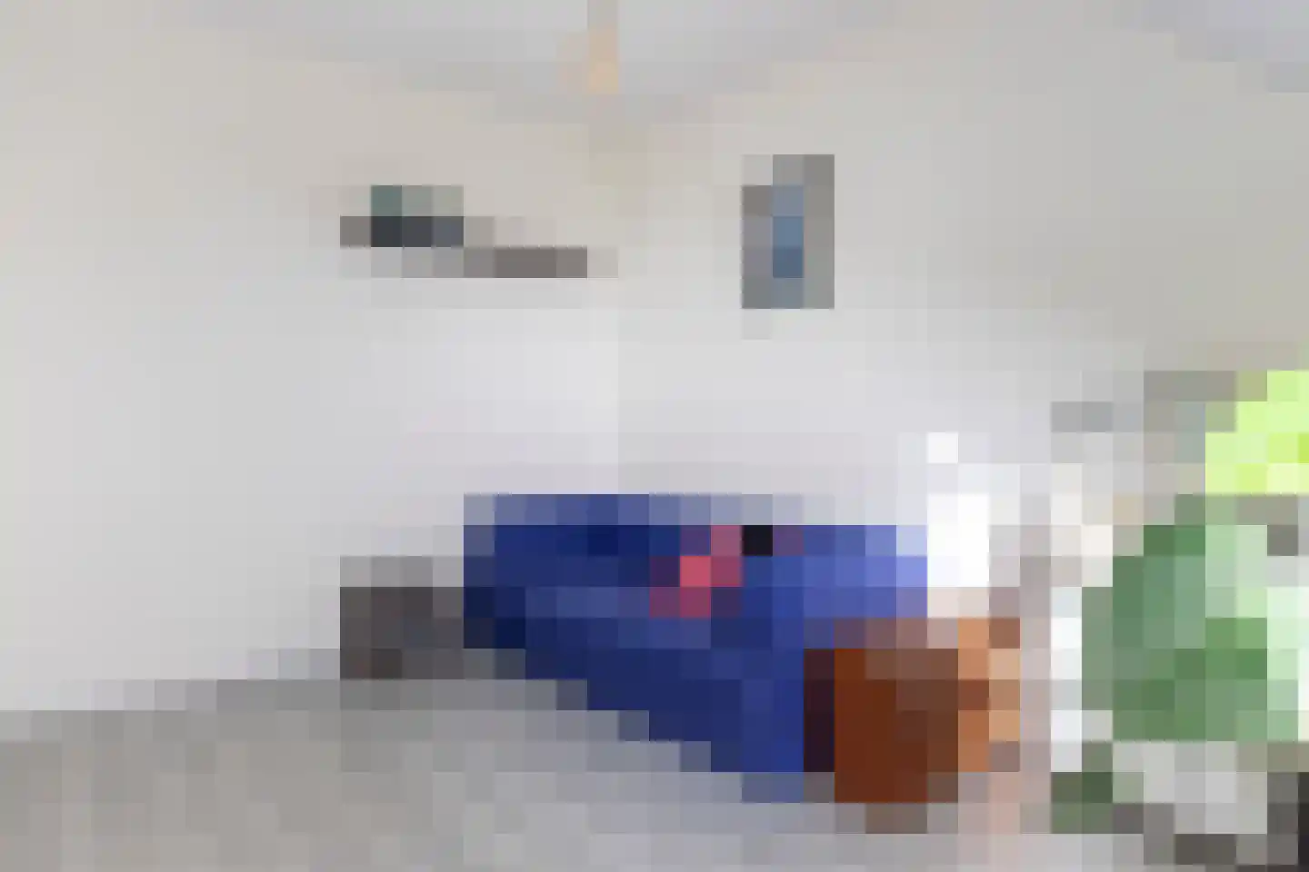 Doggersbanklaan 6 Reeuwijk thumbnail 63