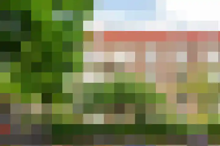 Doggersbankstraat 1 H Amsterdam thumbnail 34