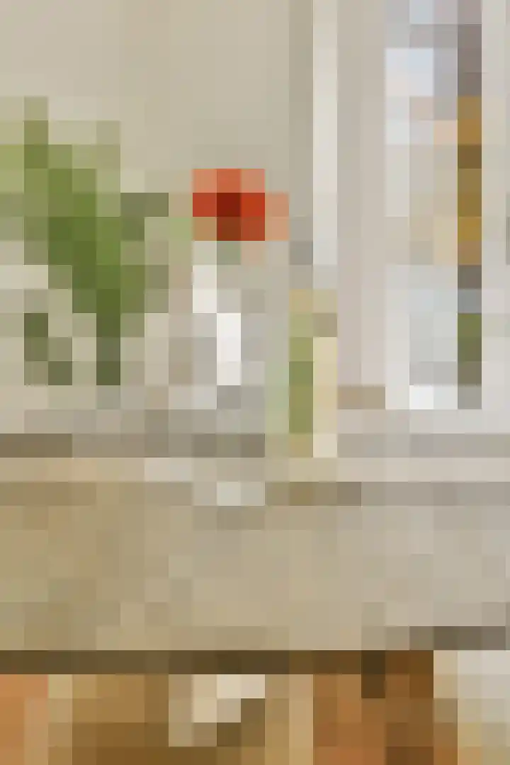 Doggersbankstraat 1 H Amsterdam thumbnail 7
