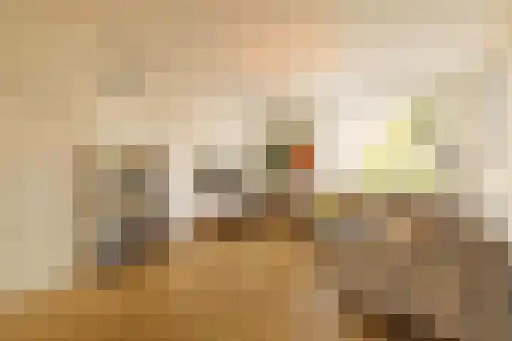 Doggersbankstraat 12 1 Amsterdam thumbnail 4