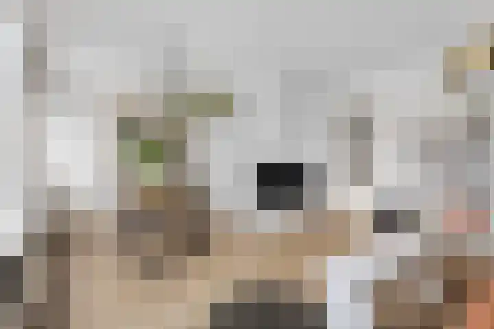 Doggersbankstraat 28 H Amsterdam thumbnail 5