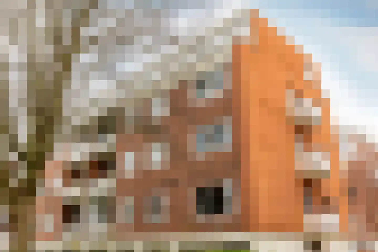 Doggerstraat 10 D Rotterdam thumbnail 26