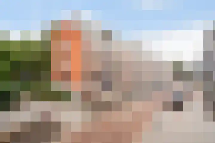 Doggerstraat 12 B Rotterdam thumbnail 5