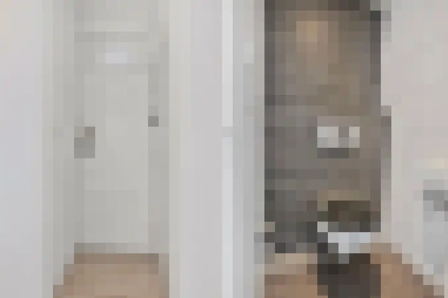 Doggerstraat 19 B Rotterdam thumbnail 27