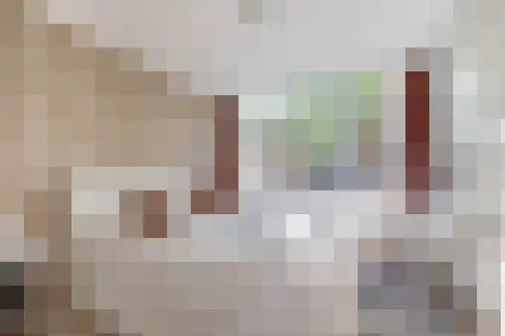 Doggerstraat 3 C Rotterdam thumbnail 14