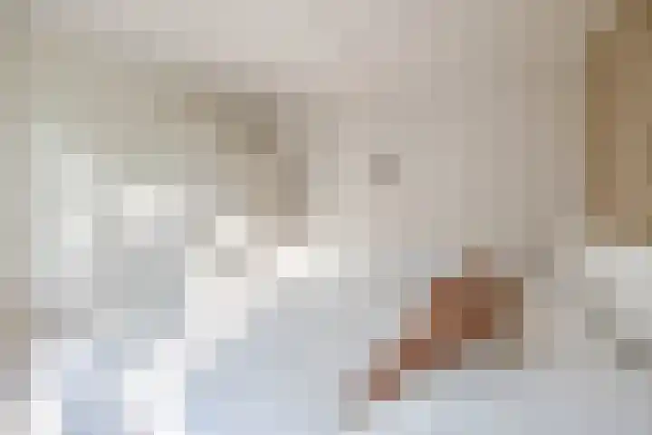 Doggerstraat 3 C Rotterdam thumbnail 15