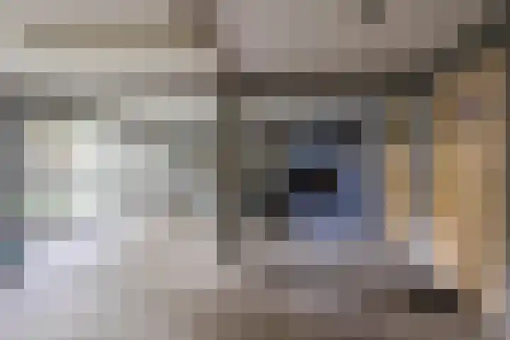 Doggerstraat 3 C Rotterdam thumbnail 21