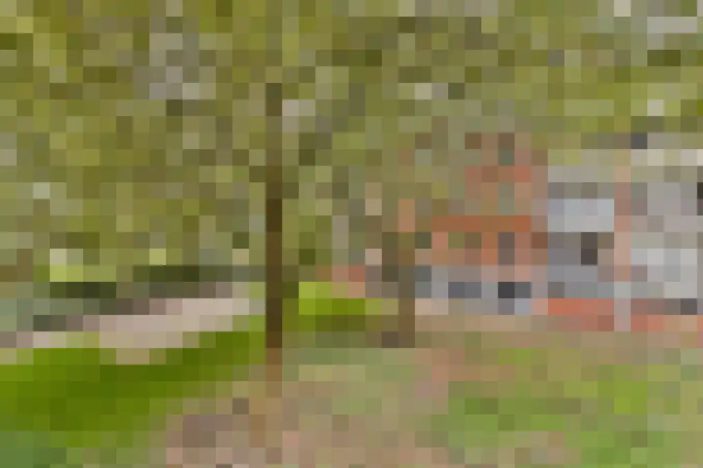 Doggerstraat 5 A Rotterdam thumbnail 8