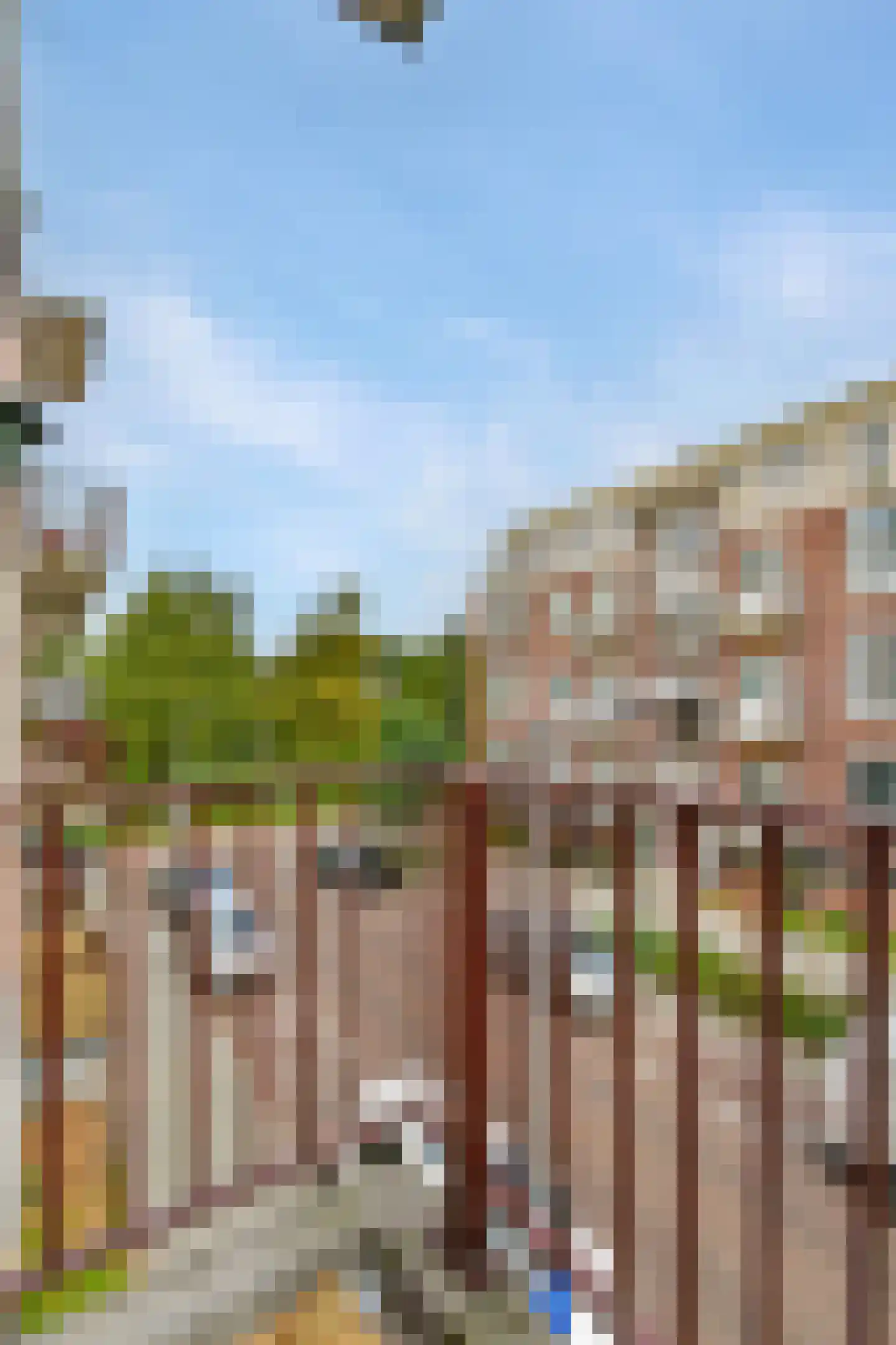 Doggerstraat 5 B Rotterdam thumbnail 10