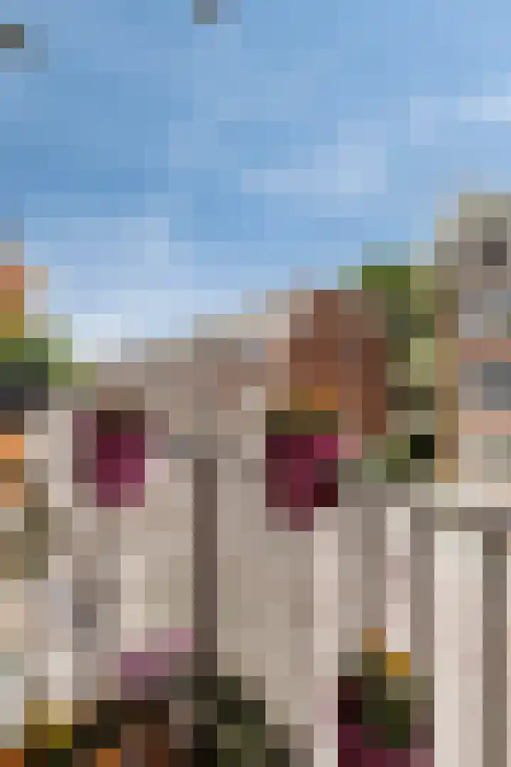 Doggerstraat 8 A Rotterdam thumbnail 14