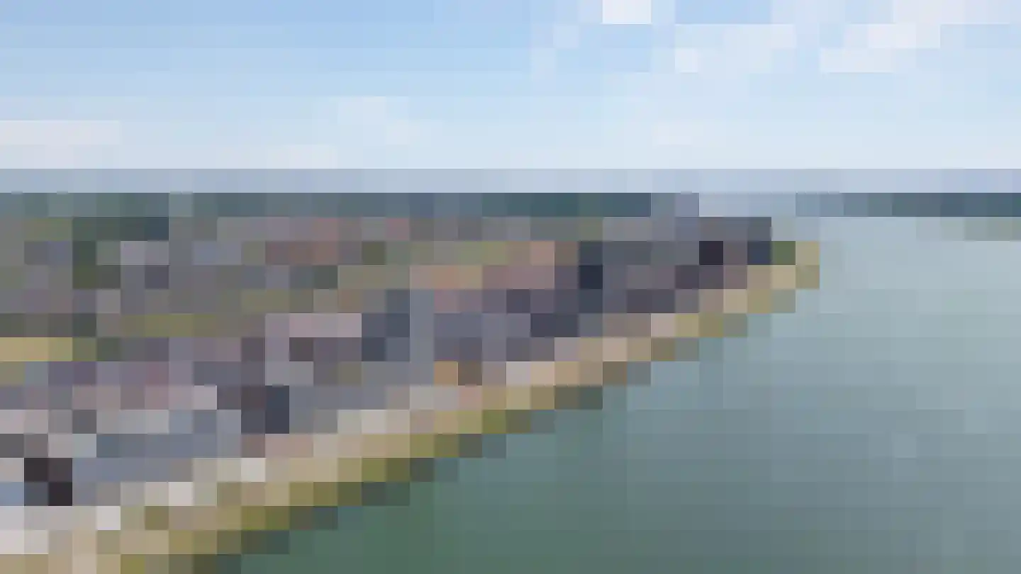 Doggevaart 162 Maassluis thumbnail 7