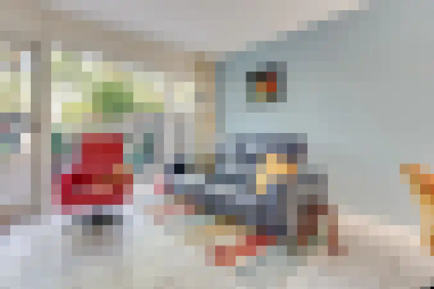 Dogkardrift 10 Nieuwegein thumbnail 10