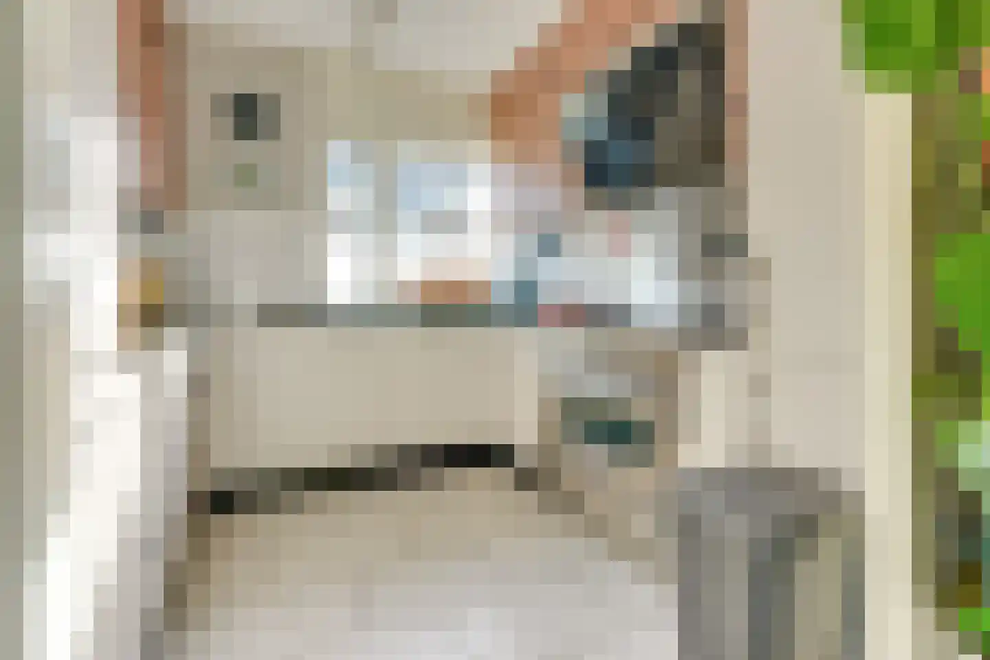 Dogkardrift 10 Nieuwegein thumbnail 14