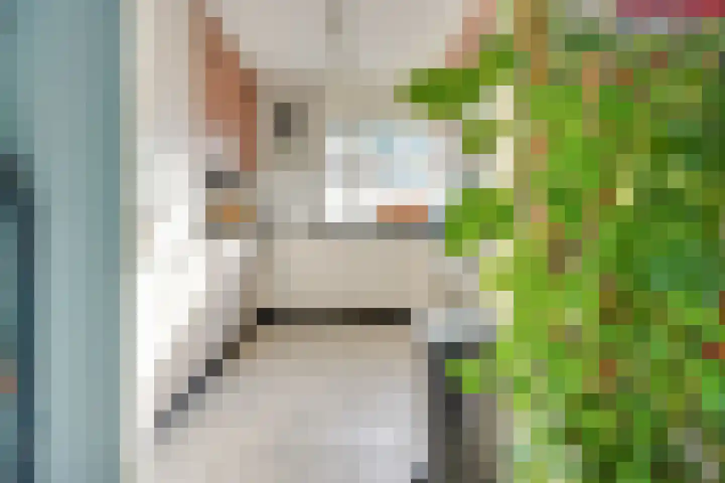 Dogkardrift 10 Nieuwegein thumbnail 15