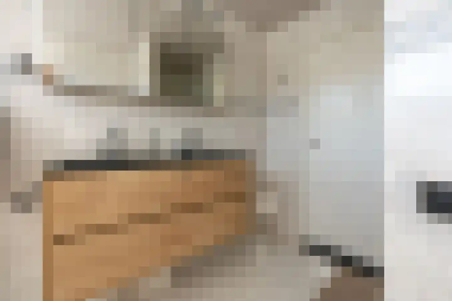 Dogkardrift 10 Nieuwegein thumbnail 31