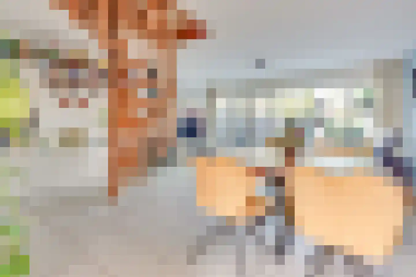 Dogkardrift 10 Nieuwegein thumbnail 5
