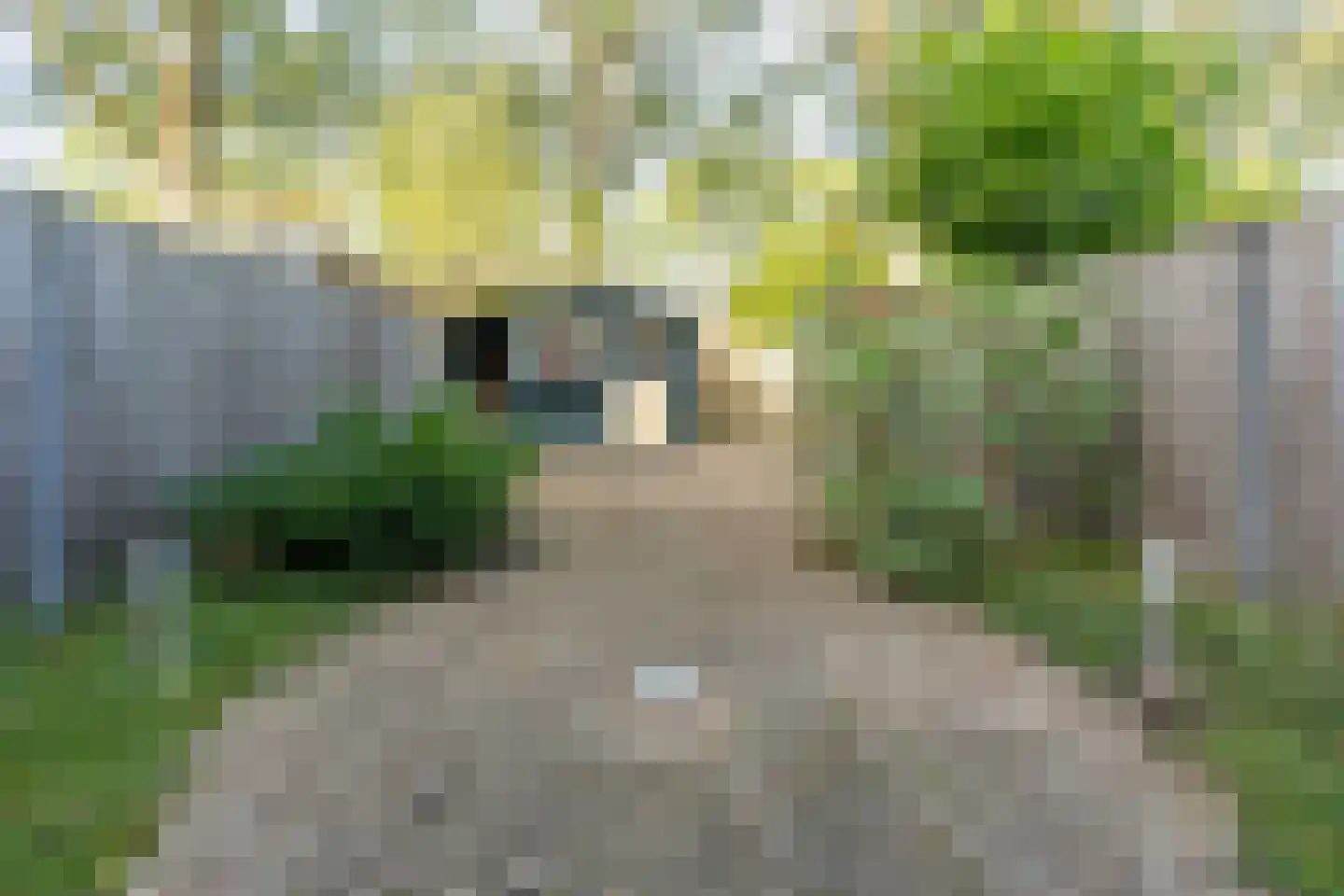 Dogkardrift 10 Nieuwegein thumbnail 50