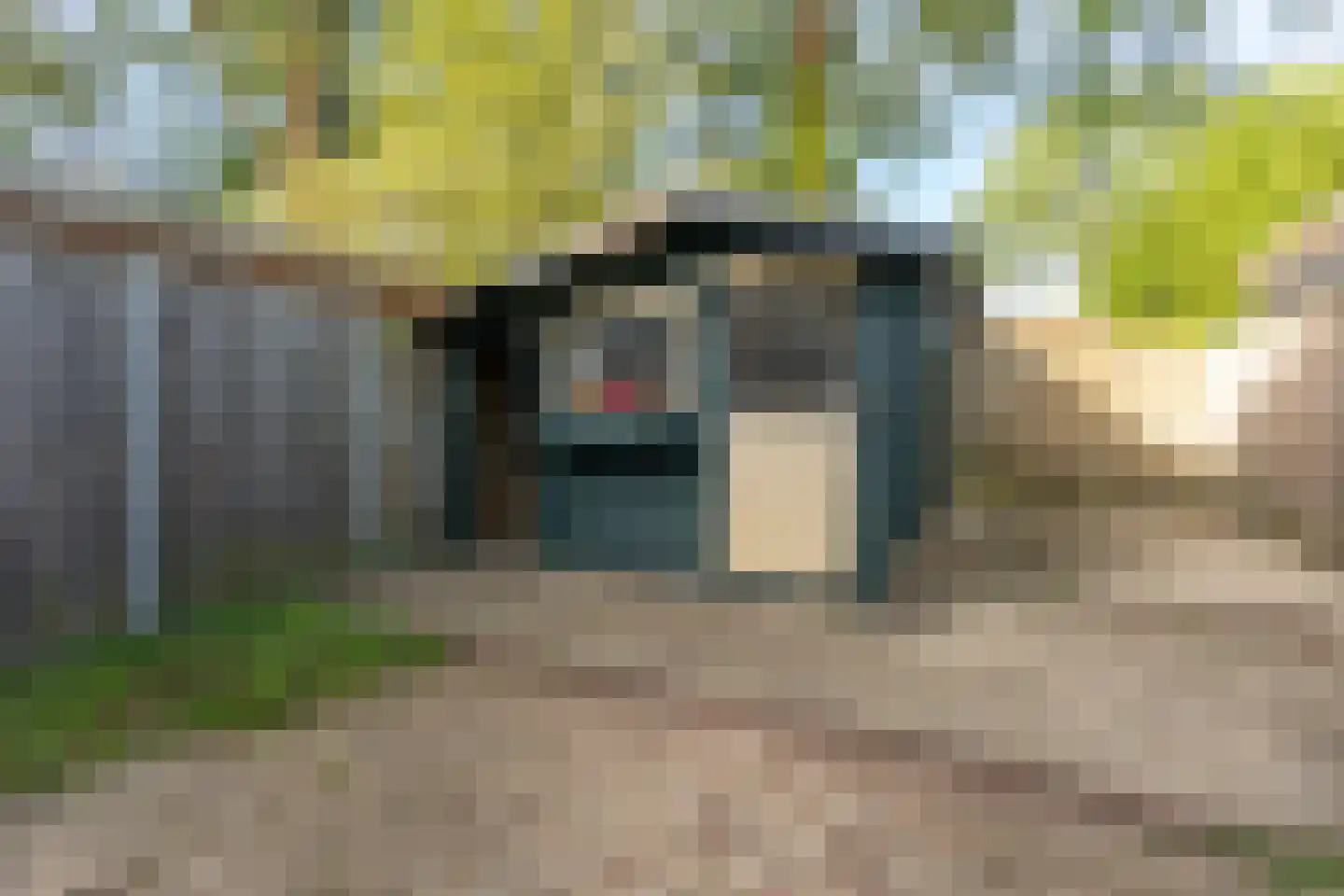 Dogkardrift 10 Nieuwegein thumbnail 51