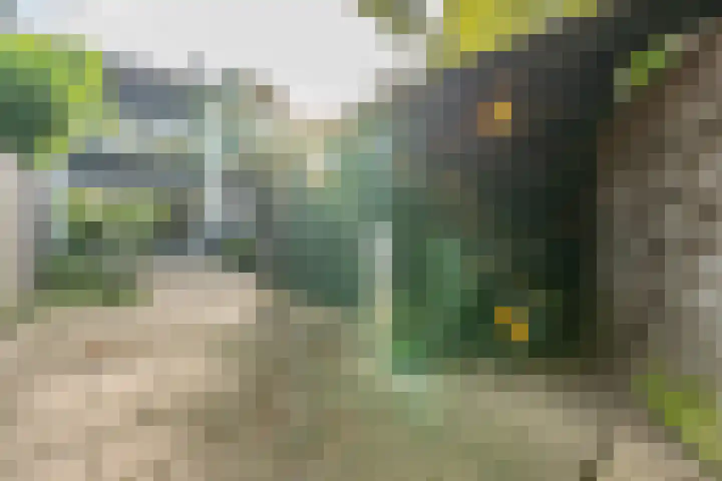 Dogkardrift 10 Nieuwegein thumbnail 54
