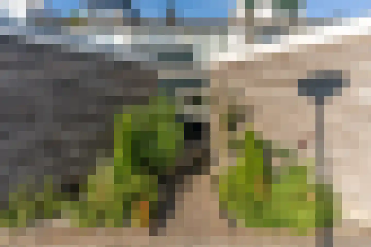 Dogkardrift 10 Nieuwegein thumbnail 57