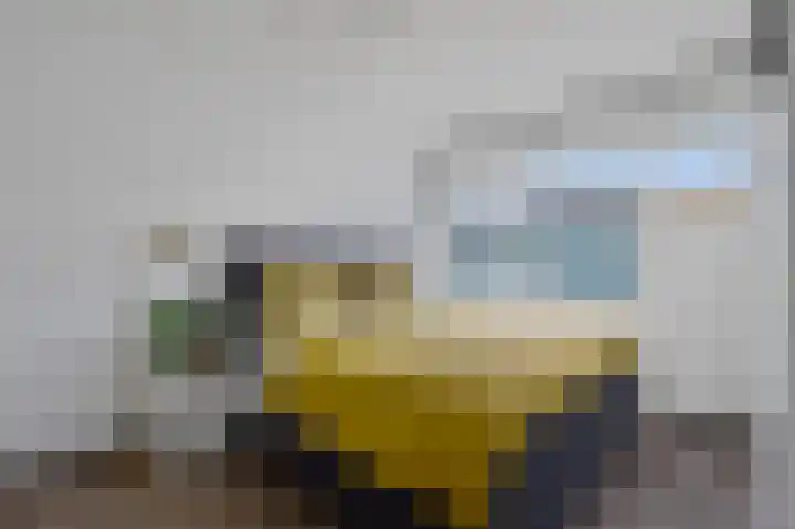 Dogkardrift 12 Nieuwegein thumbnail 13