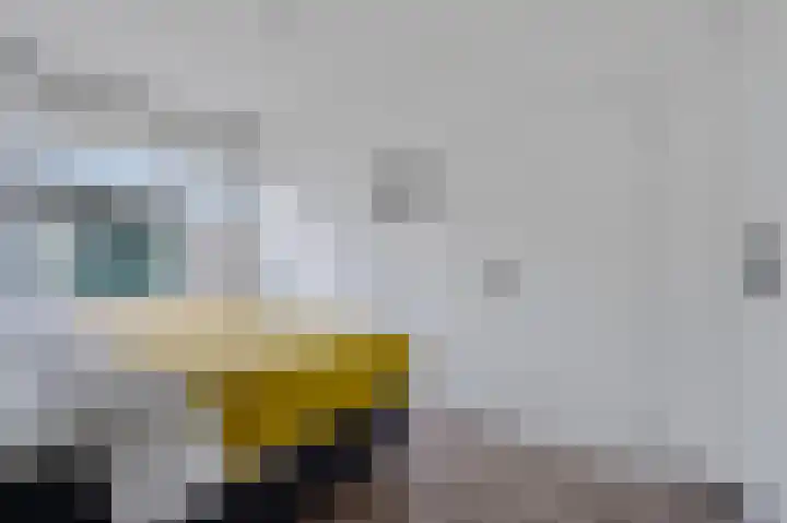 Dogkardrift 12 Nieuwegein thumbnail 15