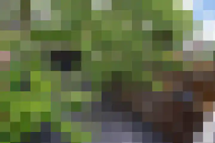 Dogkardrift 12 Nieuwegein thumbnail 22