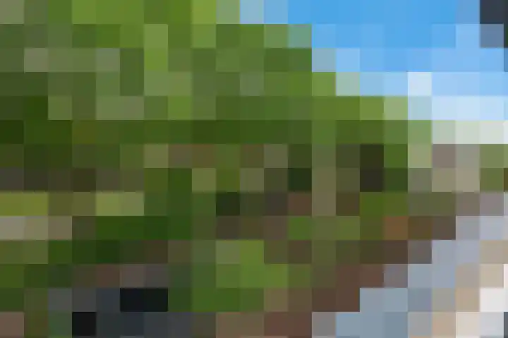 Dogkardrift 12 Nieuwegein thumbnail 23