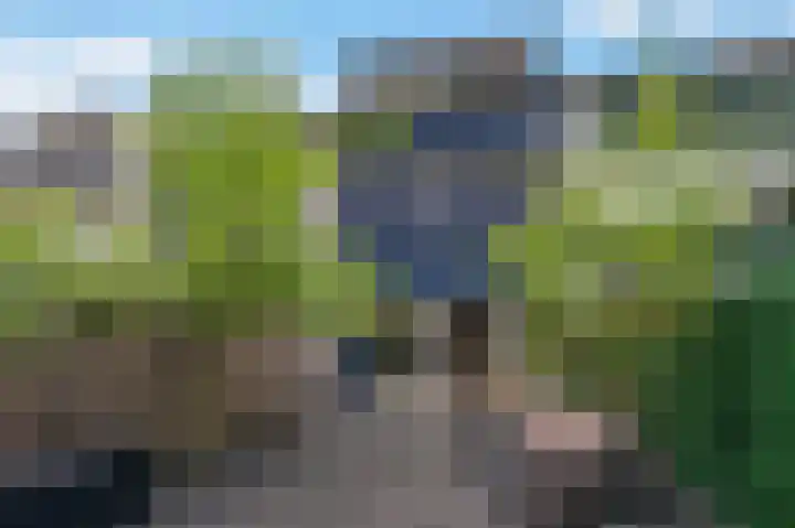 Dogkardrift 12 Nieuwegein thumbnail 27