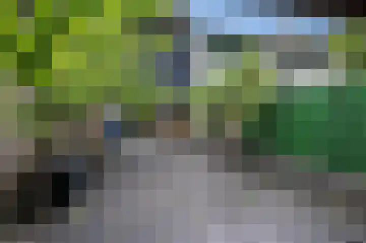 Dogkardrift 12 Nieuwegein thumbnail 28