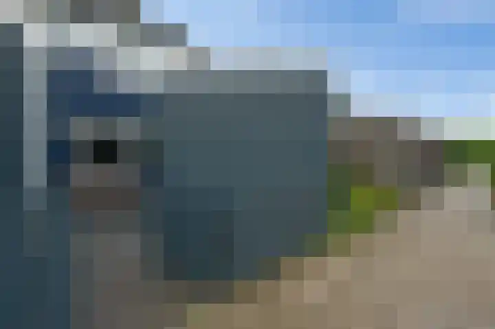 Dogkardrift 12 Nieuwegein thumbnail 32