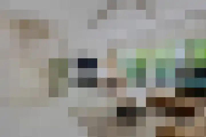 Dogkardrift 12 Nieuwegein thumbnail 4