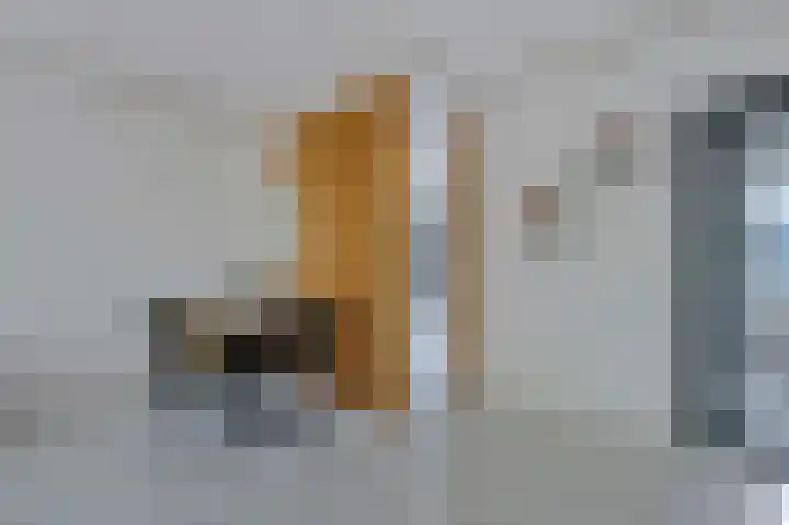 Dogkardrift 12 Nieuwegein thumbnail 5