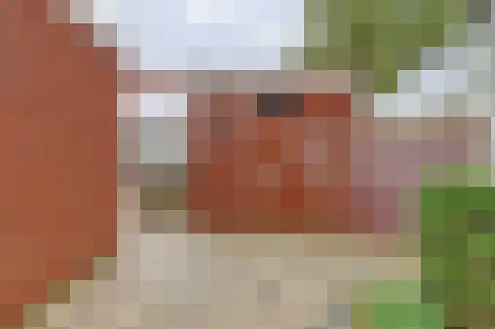 Dogkardrift 14 Nieuwegein thumbnail 12