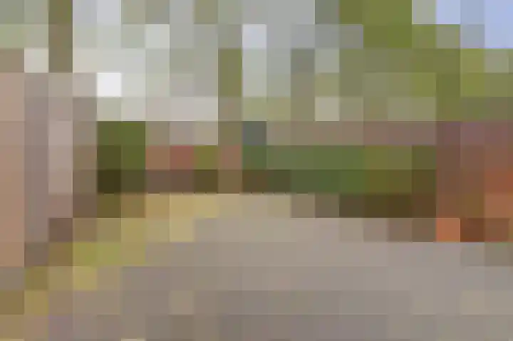 Dogkardrift 14 Nieuwegein thumbnail 15