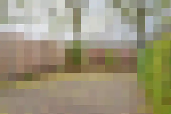 Dogkardrift 14 Nieuwegein thumbnail 16