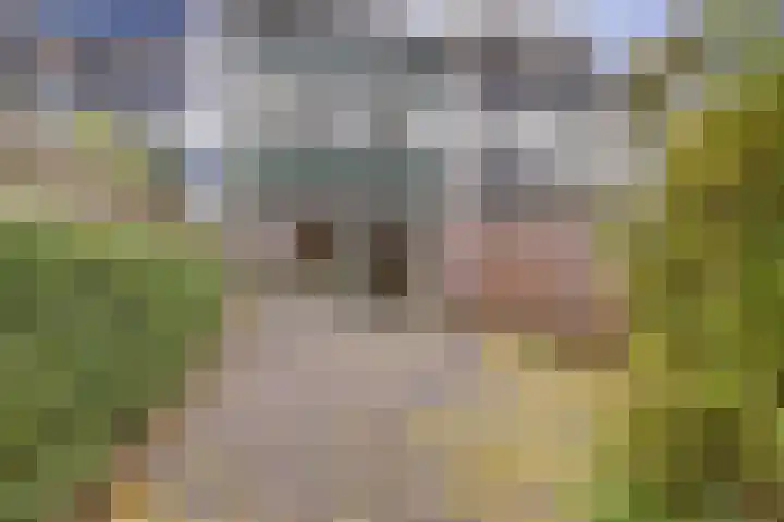 Dogkardrift 14 Nieuwegein thumbnail 17