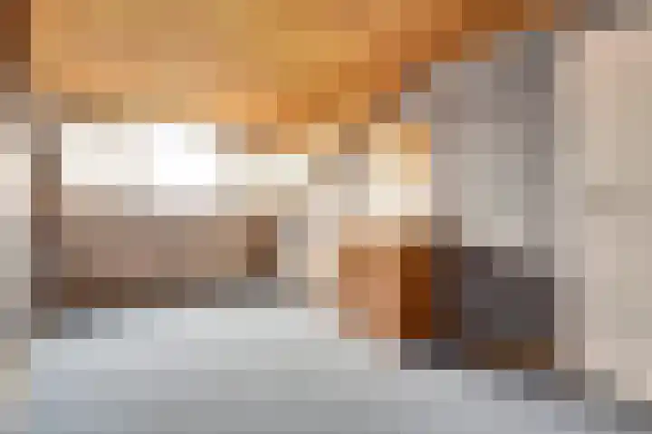 Dogkardrift 14 Nieuwegein thumbnail 30