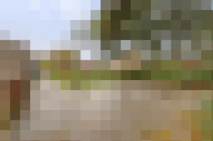 Dogkardrift 14 Nieuwegein thumbnail 38