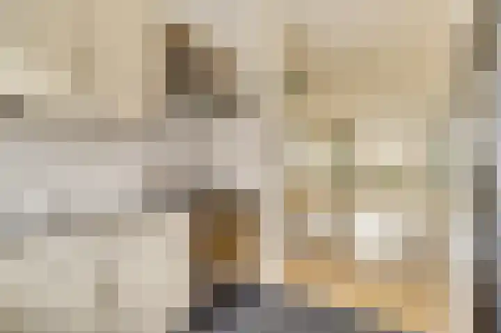 Dogkardrift 14 Nieuwegein thumbnail 8