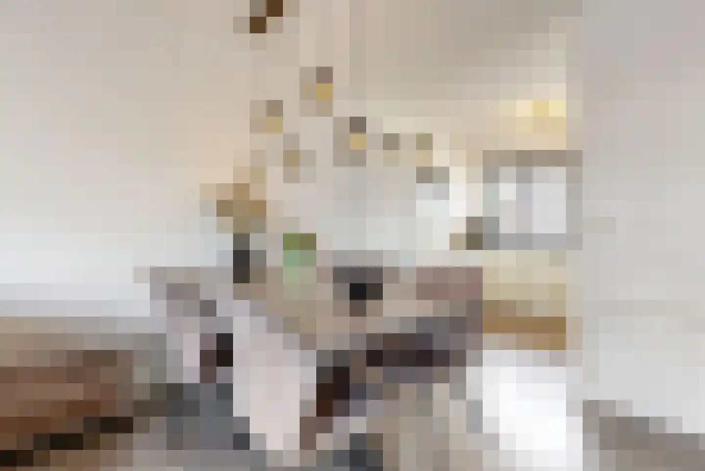 Dogkardrift 19 Nieuwegein thumbnail 10