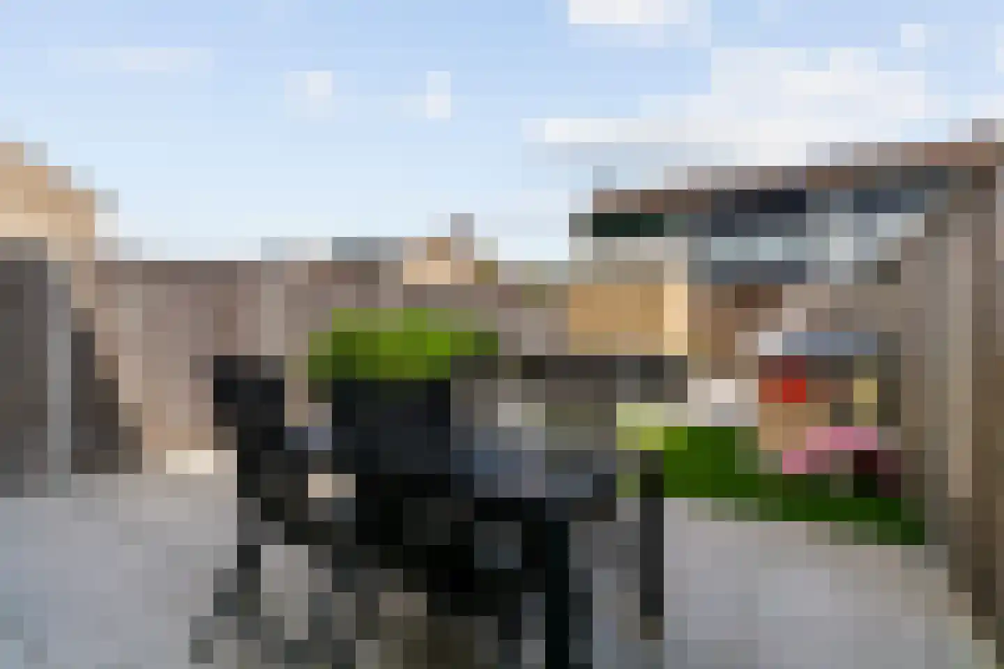 Dogkardrift 19 Nieuwegein thumbnail 22