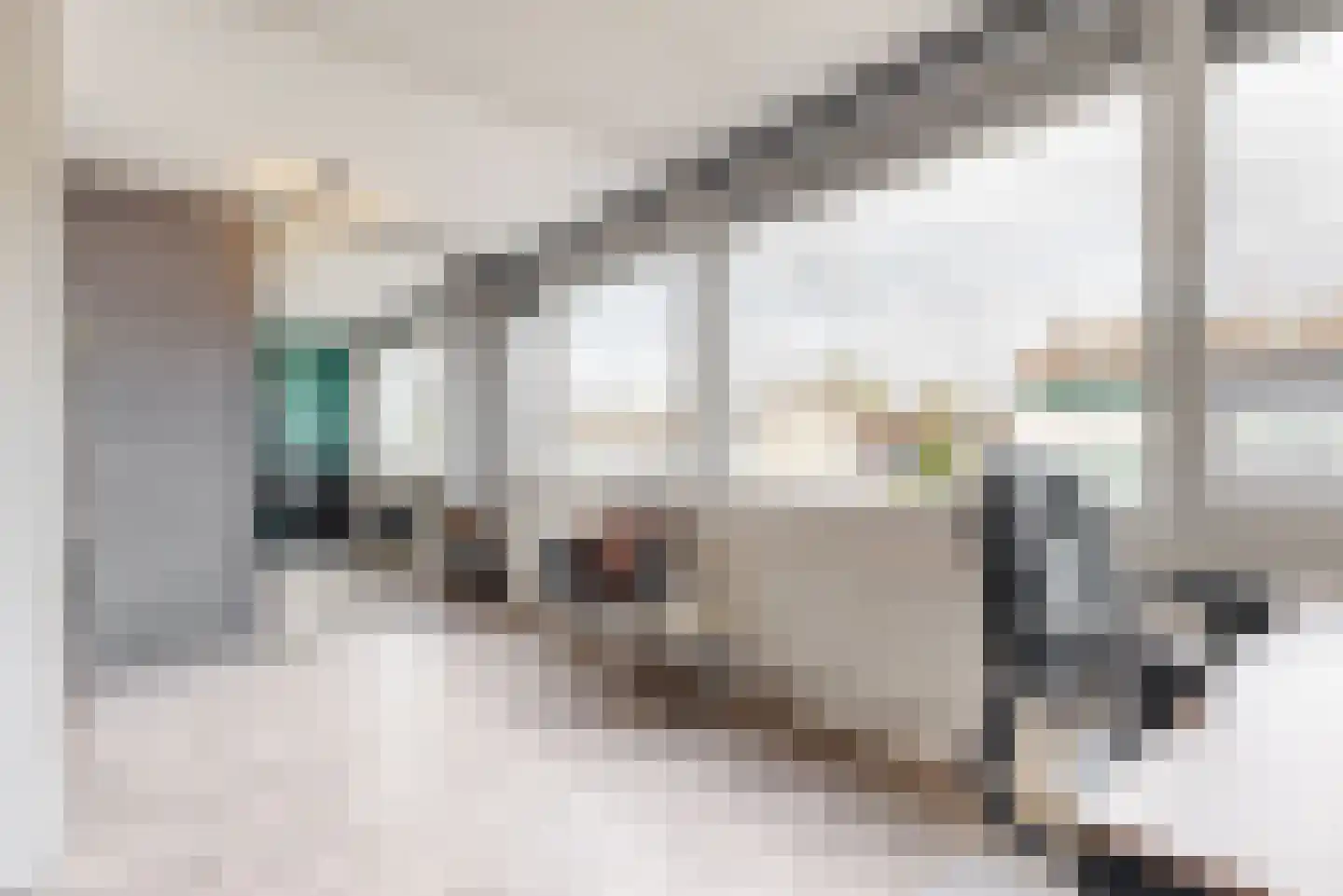 Dogkardrift 19 Nieuwegein thumbnail 31