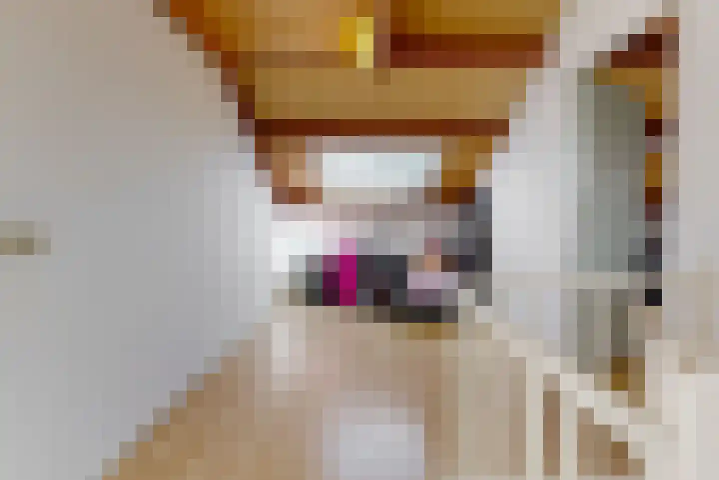 Dogkardrift 19 Nieuwegein thumbnail 35