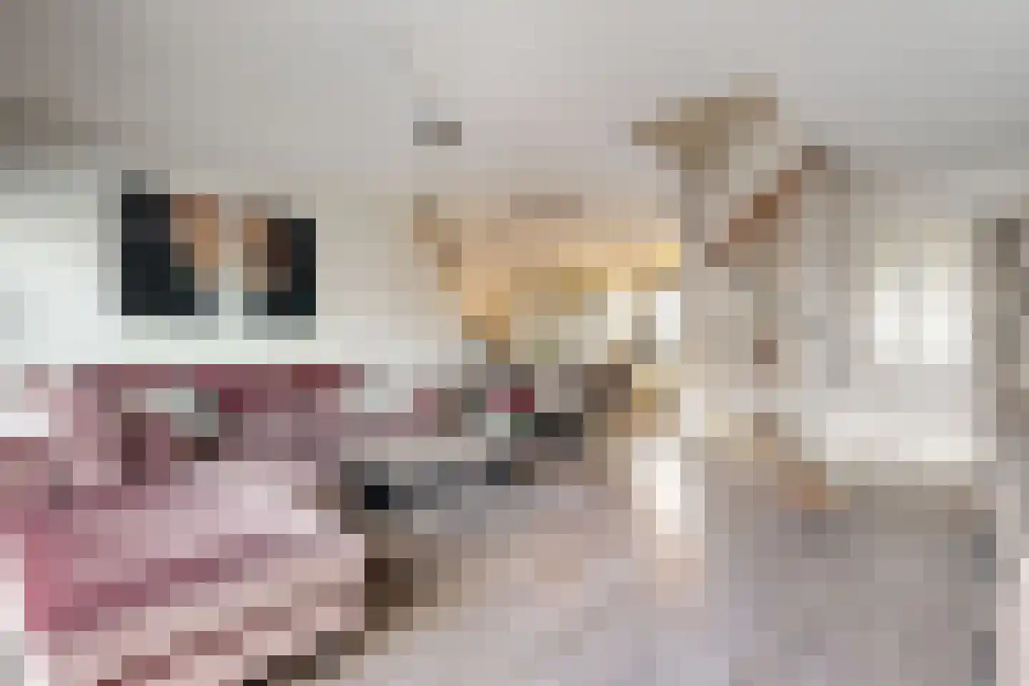 Dogkardrift 19 Nieuwegein thumbnail 6