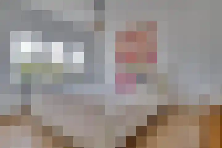 Dohmenstraat 13 Geleen thumbnail 11