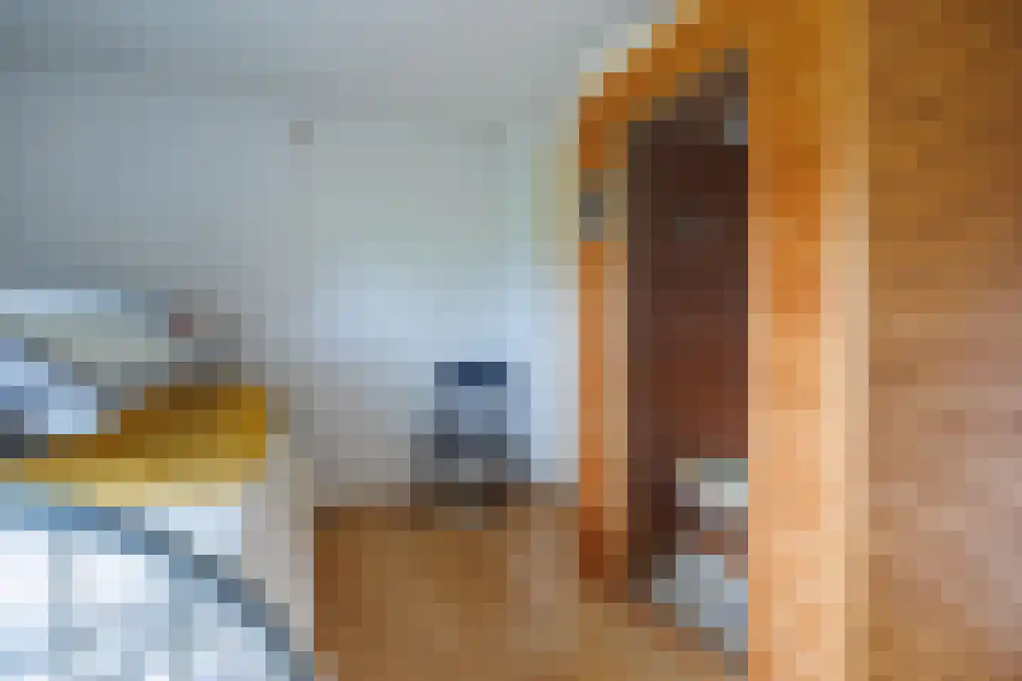 Dohmenstraat 13 Geleen thumbnail 14