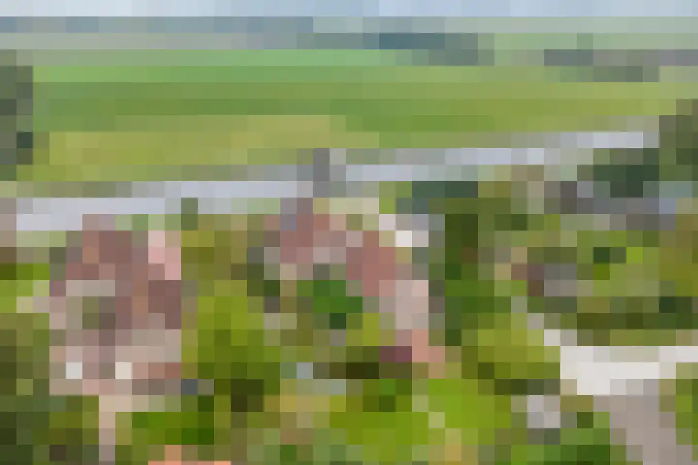 Dok 2 Nieuwolda thumbnail 12