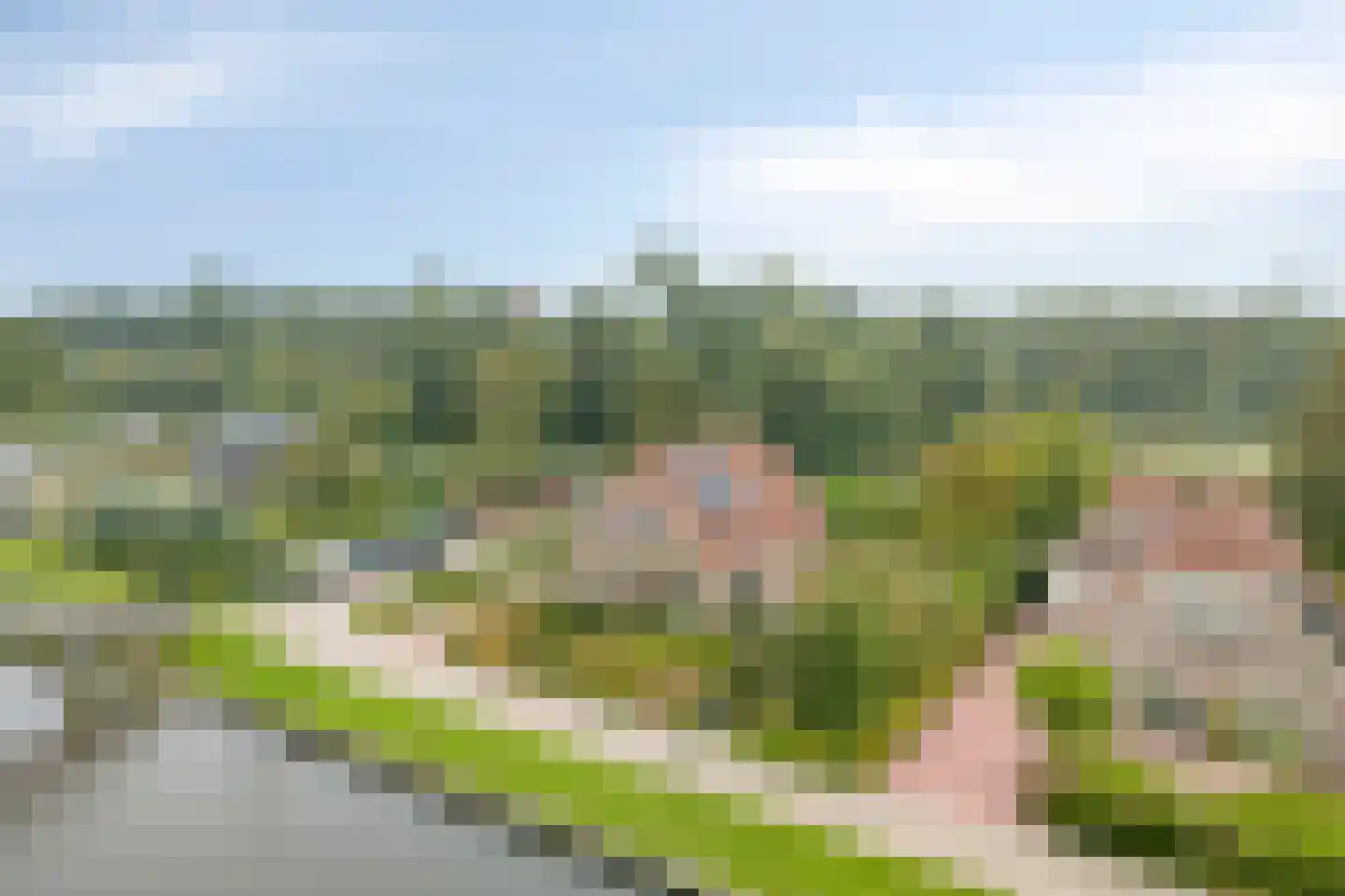 Dok 2 Nieuwolda thumbnail 9
