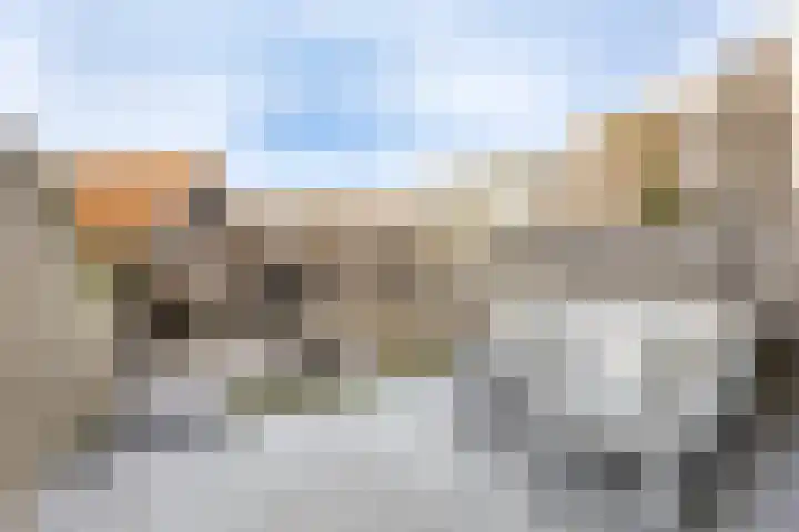 Dok van Perry 17 Vlissingen thumbnail 29